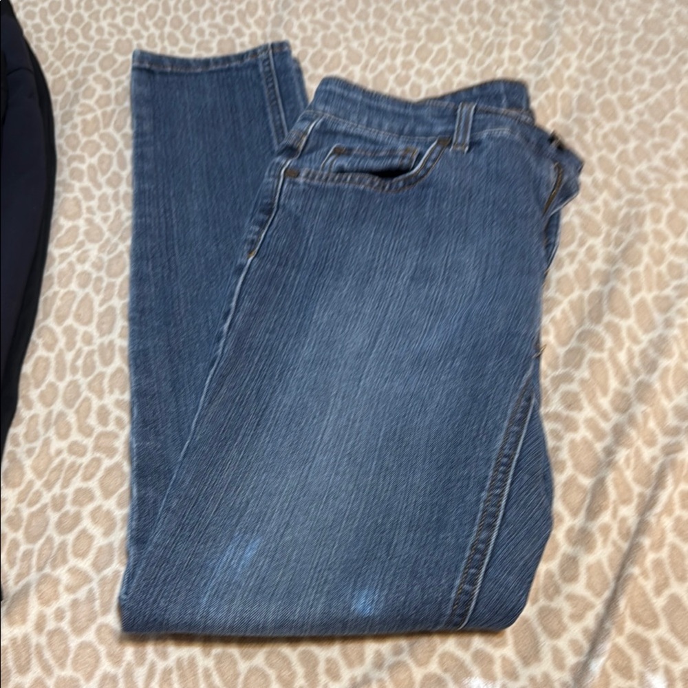 Jones New York Bleecker Skinny Women's Blue Jeans